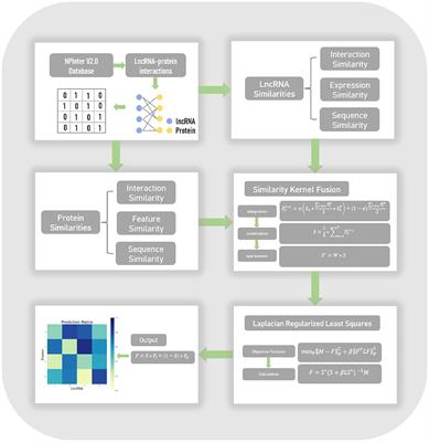 LPI-SKF: Predicting lncRNA-Protein Interactions Using Similarity Kernel Fusions